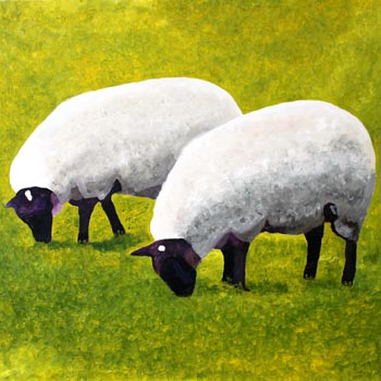 Welsh Sheep